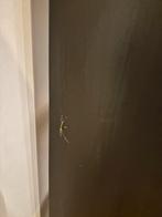 Armoire ouverte Kallax noire, Maison & Meubles, Armoires | Bibliothèques, Enlèvement, Utilisé