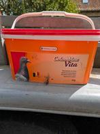 Mineraalvoeder voor duiven