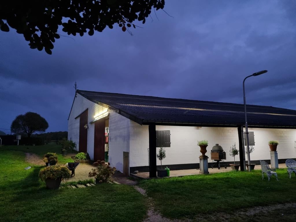 Te huur pensionstalling, Dieren en Toebehoren, Stalling en Weidegang