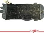 RADIATEUR Honda VT 750 Shadow (01-1970/-), Motoren, Dhr. S. di Majo, Gebruikt, Info@cama-motorparts.nl, P.J. Troelstraweg 8 8
3144 CX  MAASSLUIS, NL