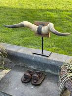 Zeer oude taxidermie stiere hoorns op smeetijzeren statief, Antiek en Kunst, Ophalen