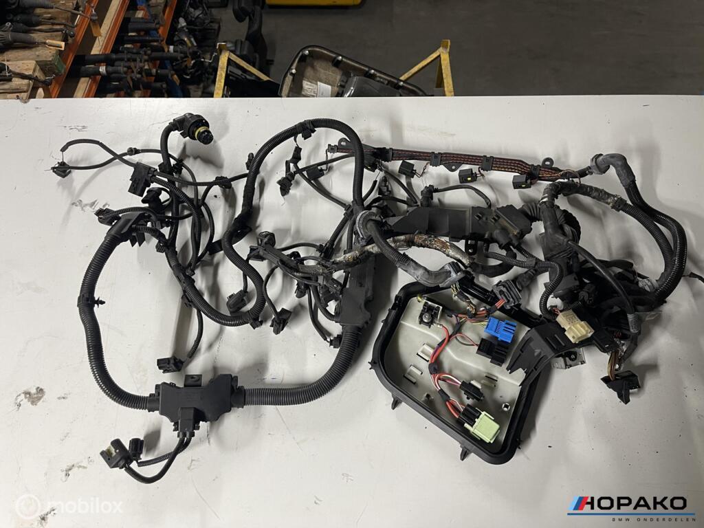 Motorkabelboom BMW 535D N57D30B F10 F11 etc - 759045906, Gebruikt, Einsteinlaan 5 rijswijk, Bmw, Ophalen of Verzenden