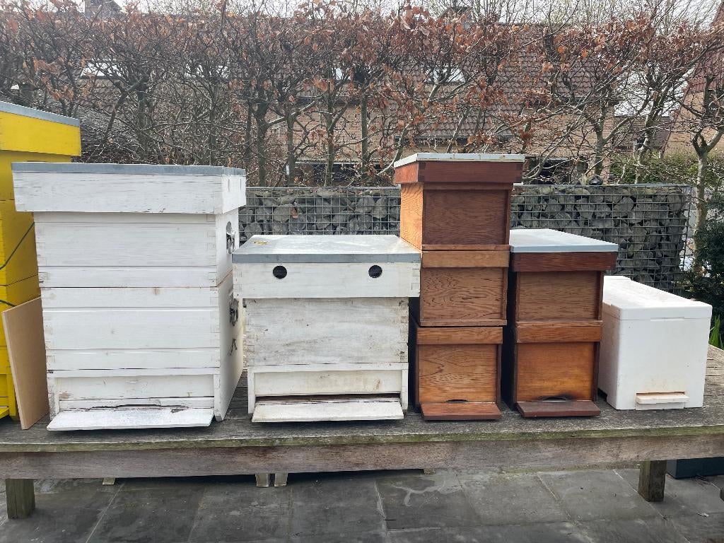 imkermateriaal, Dieren en Toebehoren, Insecten en Spinnen, Bijen