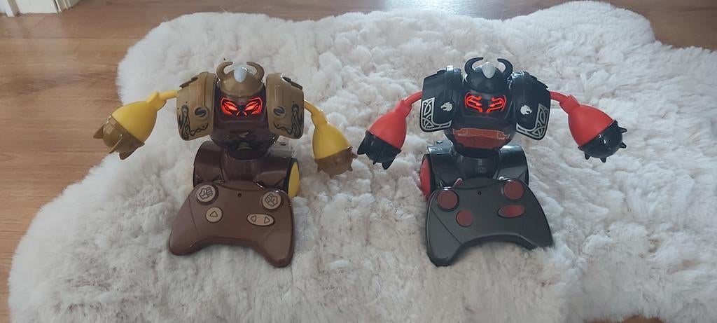 deux robots combattant, Enlèvement