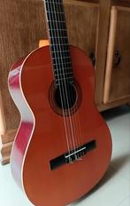 Akoestische gitaar Raimundo, Enlèvement