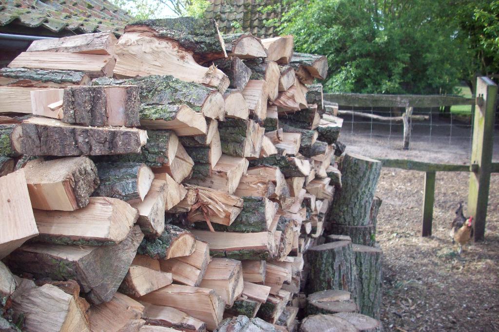 Gekliefd brandhout van wilg, Ophalen, Overige houtsoorten, Blokken