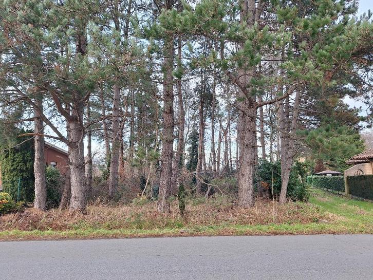 Bouwgrond voor vrijstaande woning te koop, Immo, Gronden en Bouwgronden, 500 tot 1000 m², Verkoop zonder makelaar