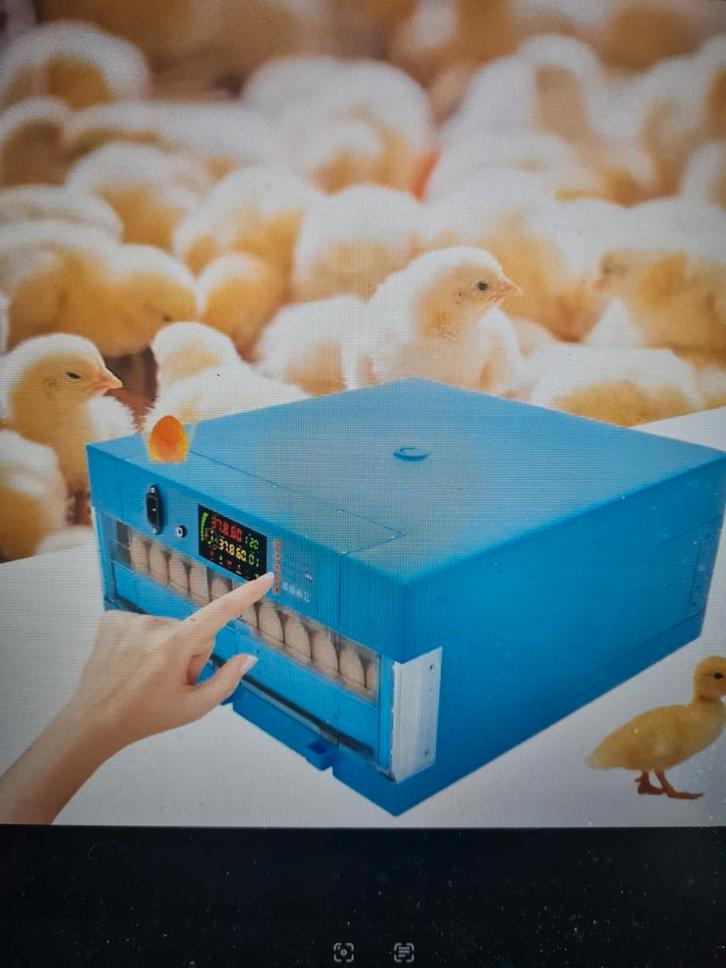 Broedmachine vol automatisch 64 eieren, Animaux & Accessoires, Volatiles | Accessoires, Neuf, Couveuse, Enlèvement ou Envoi