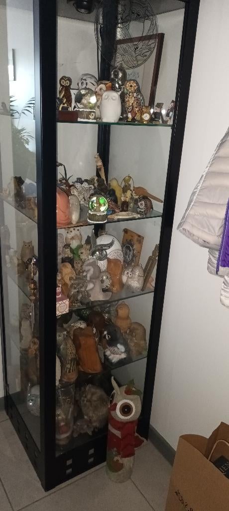uilencollectie in glazen vitrinekast, Verzamelen, Overige Verzamelen, Ophalen
