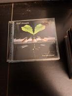 cd - paul birchwood - still stream, CD & DVD, CD | Rock, Enlèvement ou Envoi, Comme neuf, Autres genres