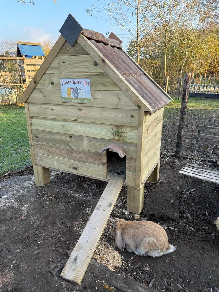 Kippenhok, kippenren, op maat van uw dier!, Dieren en Toebehoren, Pluimvee | Toebehoren, Nieuw, Kippenhok of Kippenren, Ophalen