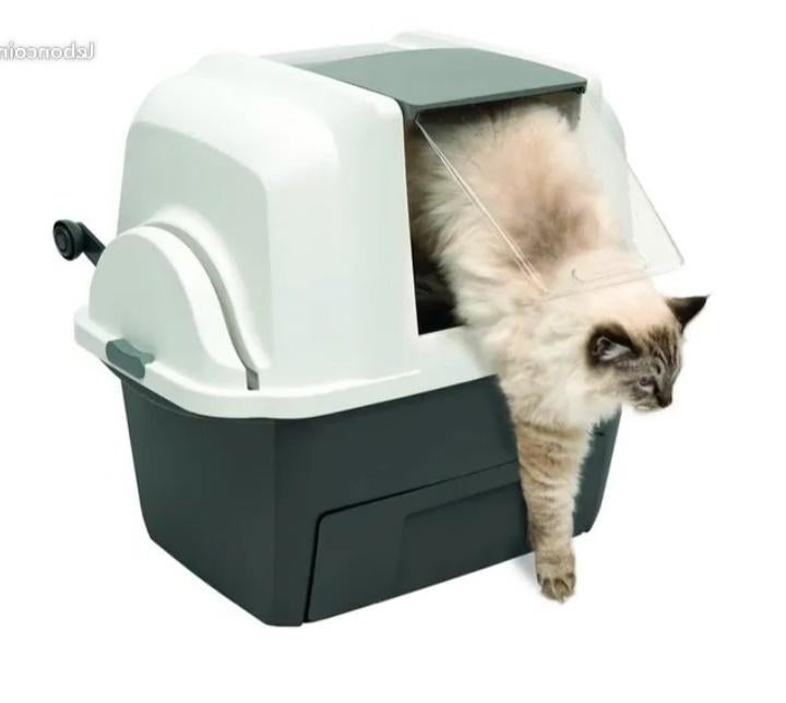 Chat heureux, un humain libre :  adieu à la corvée de pelle, Enlèvement