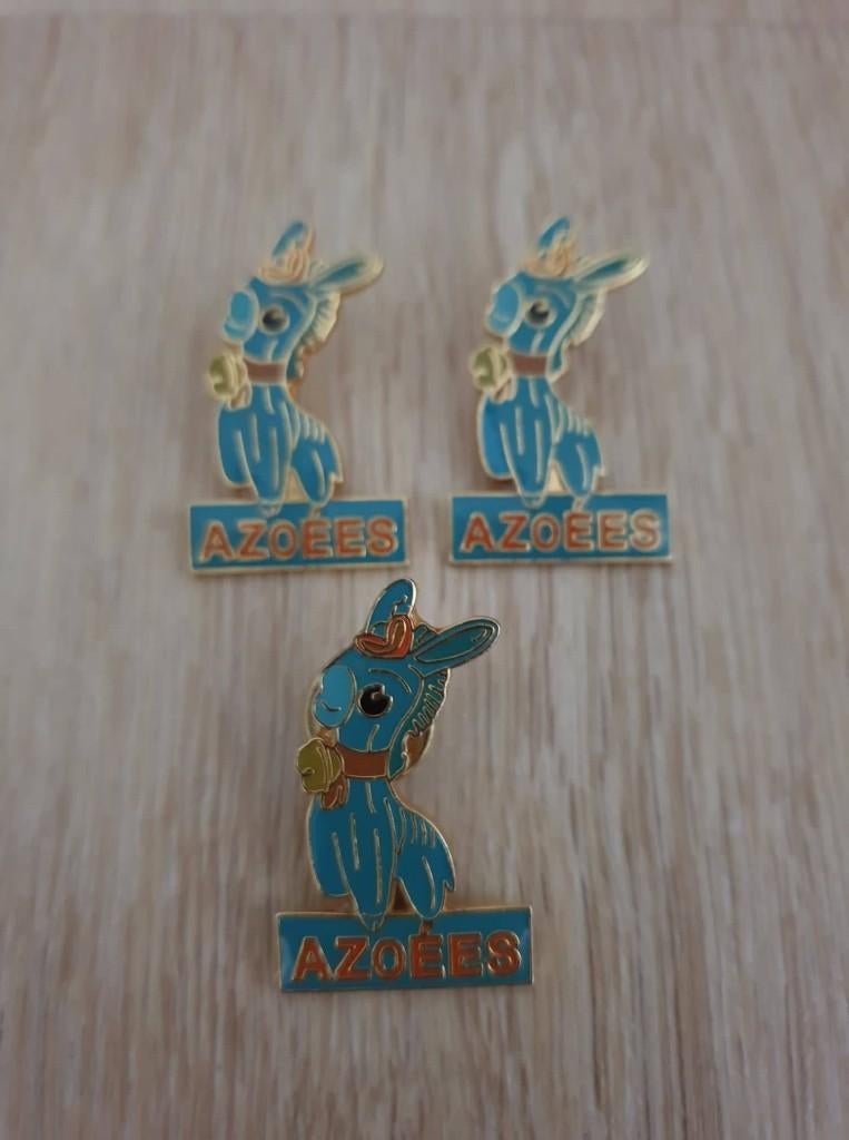 Carnaval pins Schaarbeek Azoëes, Enlèvement ou Envoi