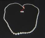 Halssnoer  in  parelmoer  -  937, Handtassen en Accessoires, Kettingen, Ophalen of Verzenden, Nieuw, Wit, Overige materialen
