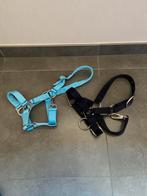 2 halsters maat mini shet, Dieren en Toebehoren, Ophalen of Verzenden, Nieuw, Overige soorten