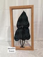 Mooi tijdloze houten kader met zwarte metalen bladeren, Huis en Inrichting, Woonaccessoires | Lijsten, Minder dan 50 cm, Ophalen of Verzenden