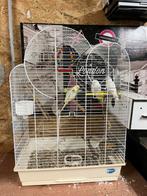 3 paires de perruches avec ou sans cage, Enlèvement ou Envoi, Comme neuf