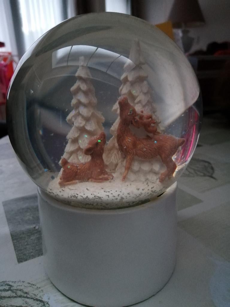 sneeuw beeldjes, Ophalen of Verzenden, Zo goed als nieuw, Overige typen