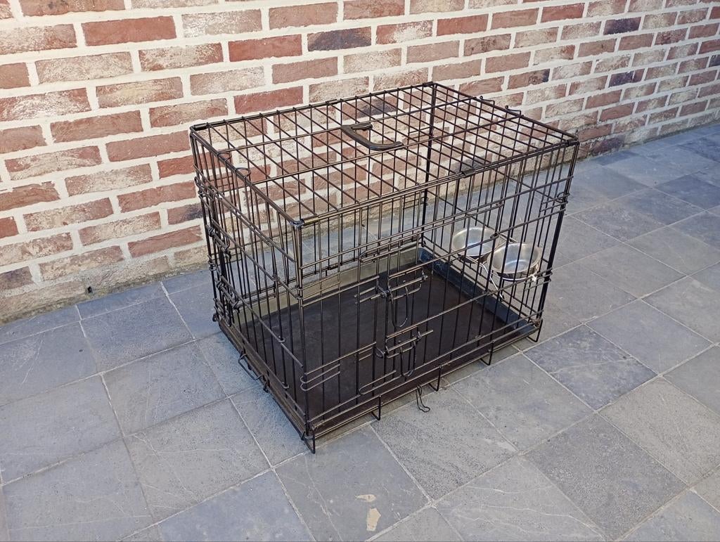 Cage pour chien, Animaux & Accessoires, Enlèvement