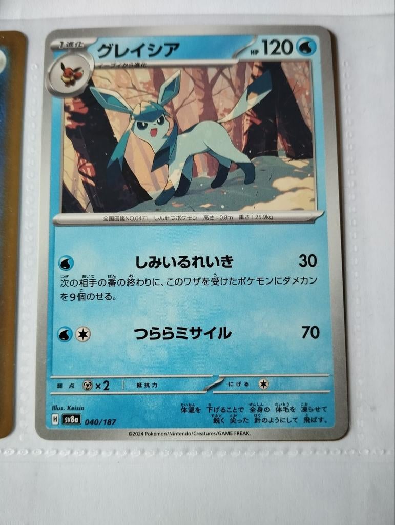 Carte des Pokémon japonais
Fête de Terestal, Enlèvement ou Envoi, Neuf
