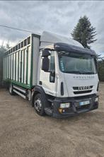 Iveco euro cargo, Autos, Camions, Euro 5, Achat, Entreprise, Iveco