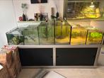 Aquarium te koop, Ophalen, Zo goed als nieuw