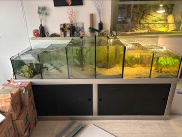Aquarium te koop beschikbaar voor biedingen