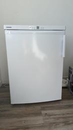 Liebherr diepvries met garantie, Elektronische apparatuur, Vriezers en Diepvrieskisten, Zo goed als nieuw, Ophalen, Vrieskast