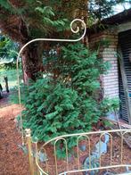 Gouden wieg, Enlèvement