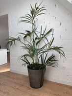 Prachtige grote kunstplant met ijzeren pot van oh’ green, Huis en Inrichting, Kamerplanten, Ophalen, Palm
