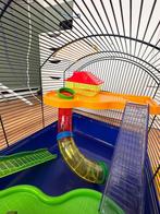 Hamsterkooi, Dieren en Toebehoren, Knaagdieren en Konijnen | Hokken en Kooien, Kooi, Gebruikt, Minder dan 75 cm, Hamster