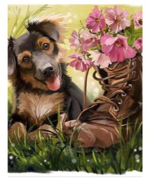 diamond painting Hond Met Schoen 40*30 cm, Hobby en Vrije tijd, Knutselen, Nieuw, Knutselwerk, Ophalen of Verzenden