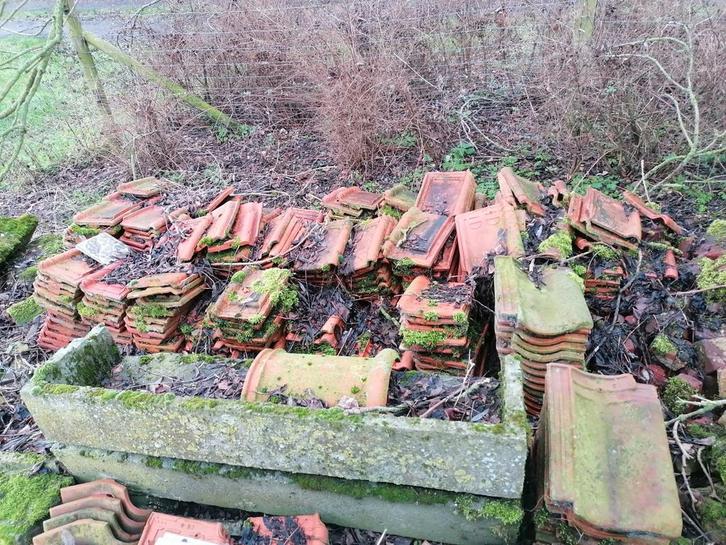 Oude voederbakken trog, meerdere stuks, Dieren en Toebehoren, Runderen