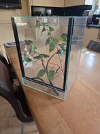 Terrarium en toebehoren, Ophalen, Zo goed als nieuw