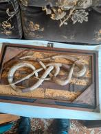 Jaren 60, Enlèvement