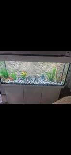 Aquarium 120l, Dieren en Toebehoren, Vissen | Aquaria en Toebehoren, Ophalen, Zo goed als nieuw