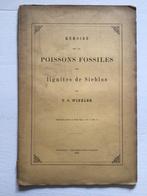 Memoire sur les poissons fossiles des lignites de sieblos, Antiek en Kunst, Ophalen of Verzenden