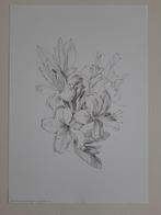 Poster / IKEA BILD / Flowers / tekening / 21 x 30, Enlèvement, Neuf, A4 ou plus petit, Rectangulaire vertical