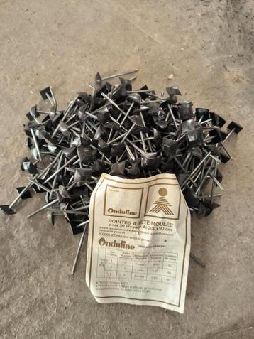 Nagels  beschikbaar voor biedingen