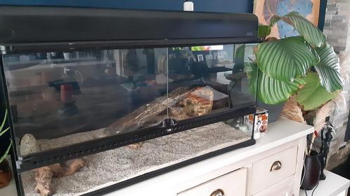 Terrarium Exo Terra, Dieren en Toebehoren, Reptielen en Amfibieën | Toebehoren, Gebruikt, Terrarium of Paludarium, Ophalen