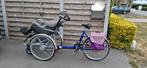 Aangepaste elektrische (rolstoel)fiets., Fietsen en Brommers, Ophalen