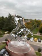 Kristallen paard, Ophalen of Verzenden