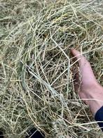 Hooi, Ophalen of Verzenden