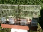Vogelkooi, Ophalen, Gebruikt, Metaal, Vogelkooi