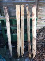 Houten palen kastanje 165cm, overschot: 4 stuks, Ophalen, Zo goed als nieuw, Hout, Overige typen