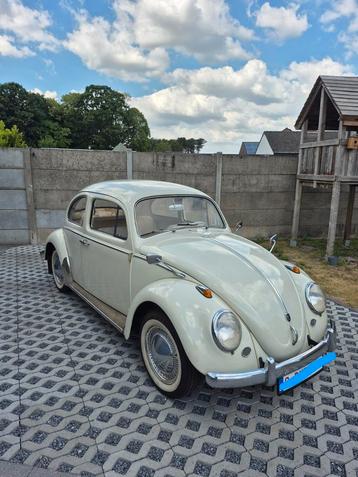 Vw kever   1200    1962, Achat, Beige, Beige, 2 portes