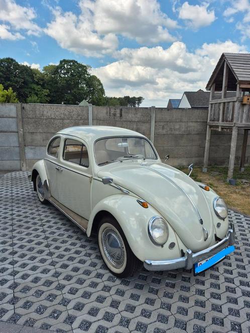 Vw kever   1200    1962 Dickholmer, Auto's, Oldtimers, Particulier, Volkswagen, Benzine, 2 deurs, Handgeschakeld, Beige, Beige