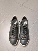 Sneakers Ted Baker taille 38, Vêtements | Femmes, Sneakers et Baskets, Porté, Enlèvement