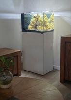 Aquarium, Dieren en Toebehoren, Ophalen