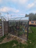 Acd serre te koop, Tuin en Terras, Ophalen, Gebruikt, Kweekkas, Glas